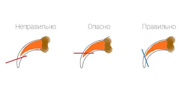 Правила и особенности