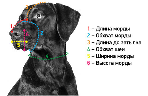 Рецепты (Как использовать?)