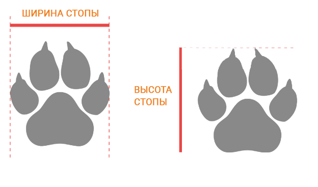 Лапа сапожная для ремонта обуви