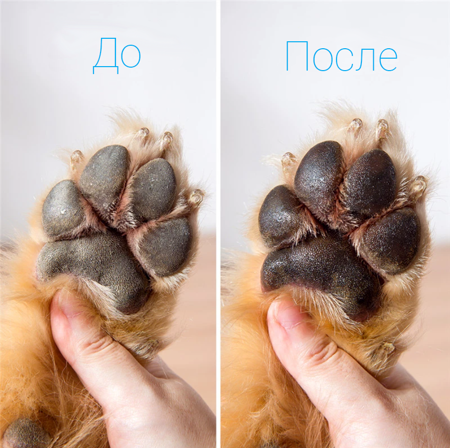 Опасность химических реагентов в смесях от наледи