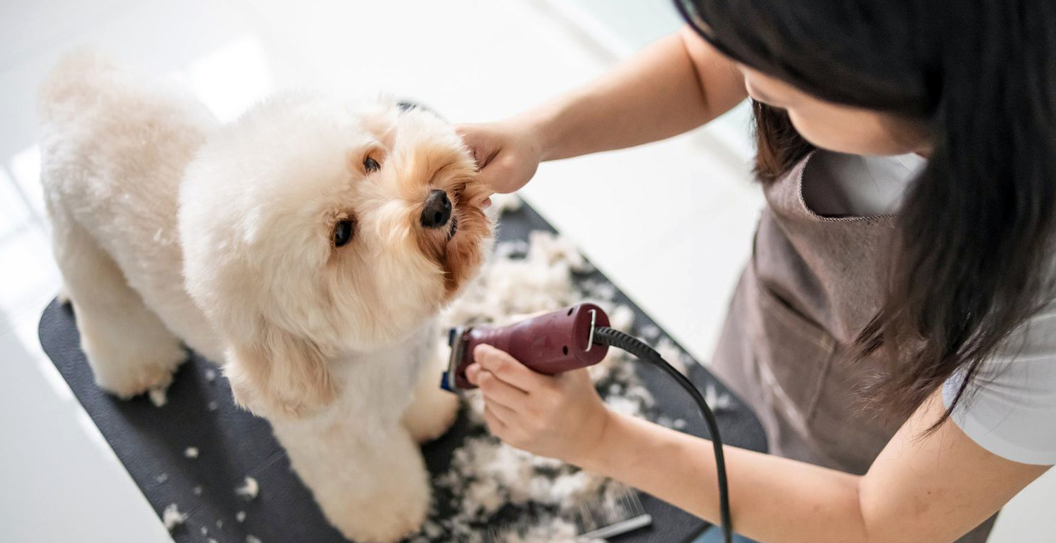 Эстетический груминг