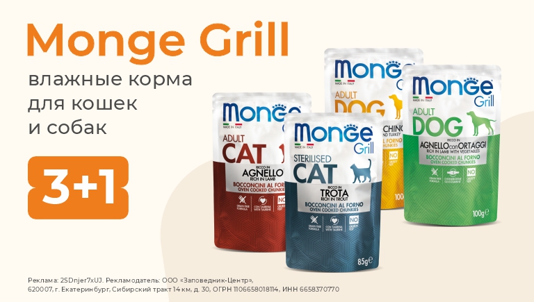 Влажный корм для кошек Monge Grill | 3+1