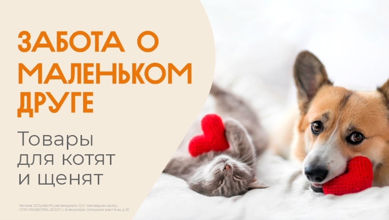экзотические животные калининград купить