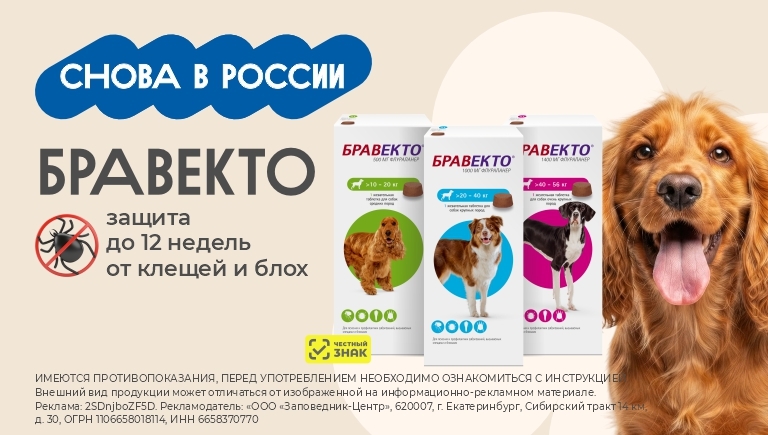 Бравекто снова в России