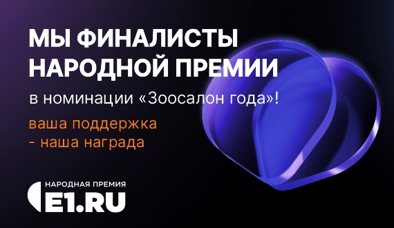 Народная премия Е1.RU