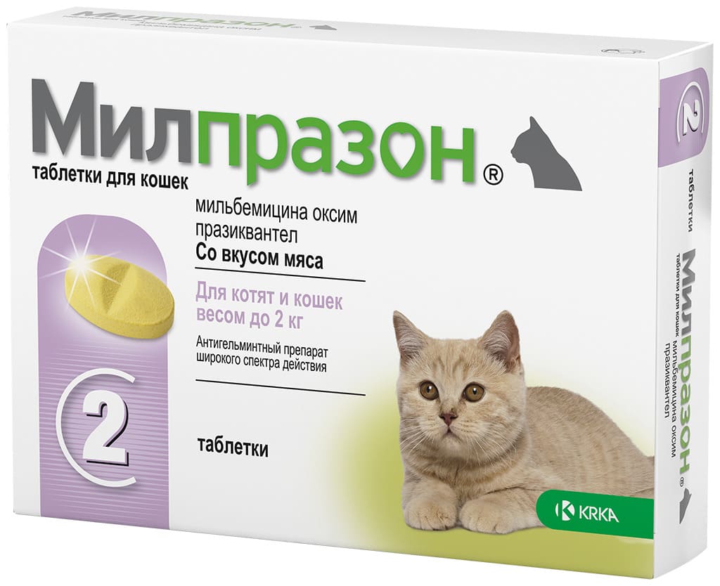 Глистогонные для кошек в Омске купить по выгодной цене в интернет-магазине  Заповедник