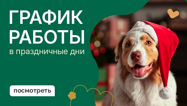 График работы в выходные и праздничные дни