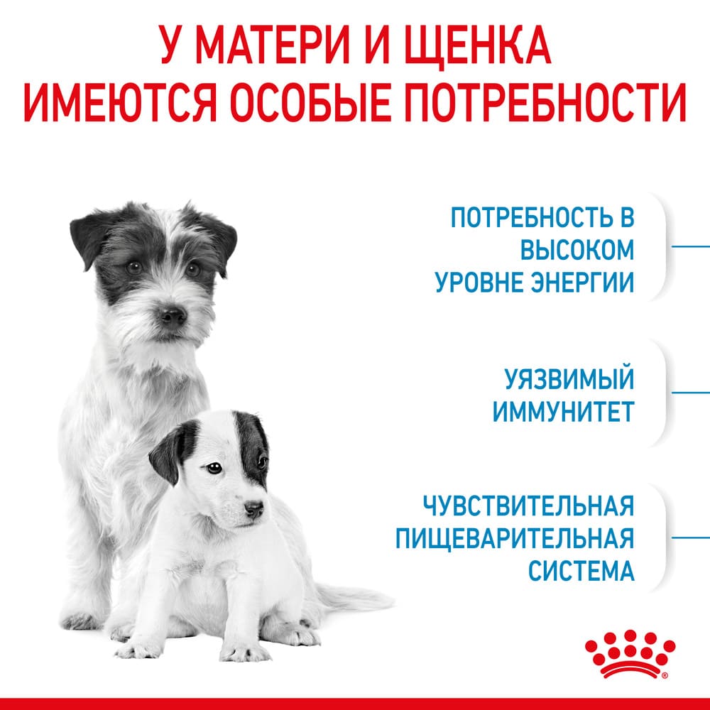 Сухой корм для собак Роял Канин Мини Стартер 8,5 кг купить в ...