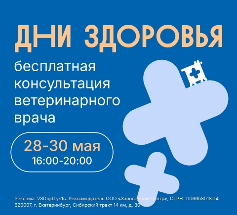 Дни здоровья в Заповеднике