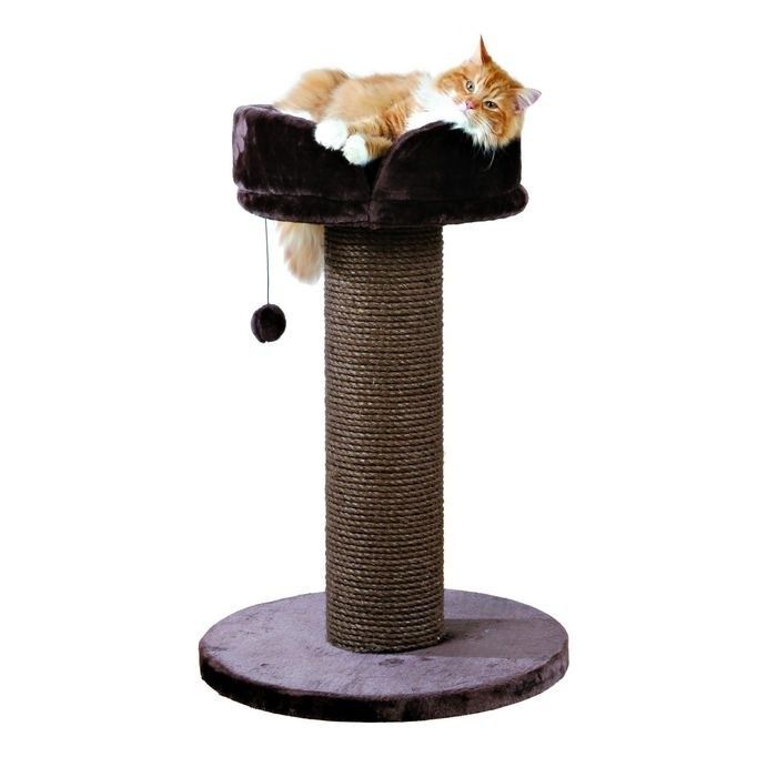 Когтеточка для кошки интернет магазин. Trixie pepino - когтеточка для кошки , 89 см. Домик для кошек Trixie Vitoria. Когтеточка с лежанкой для крупных кошек. Когтеточка столбик с лежанкой для кошек.