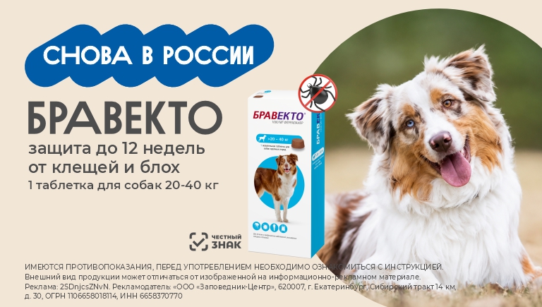 Бравекто снова в России