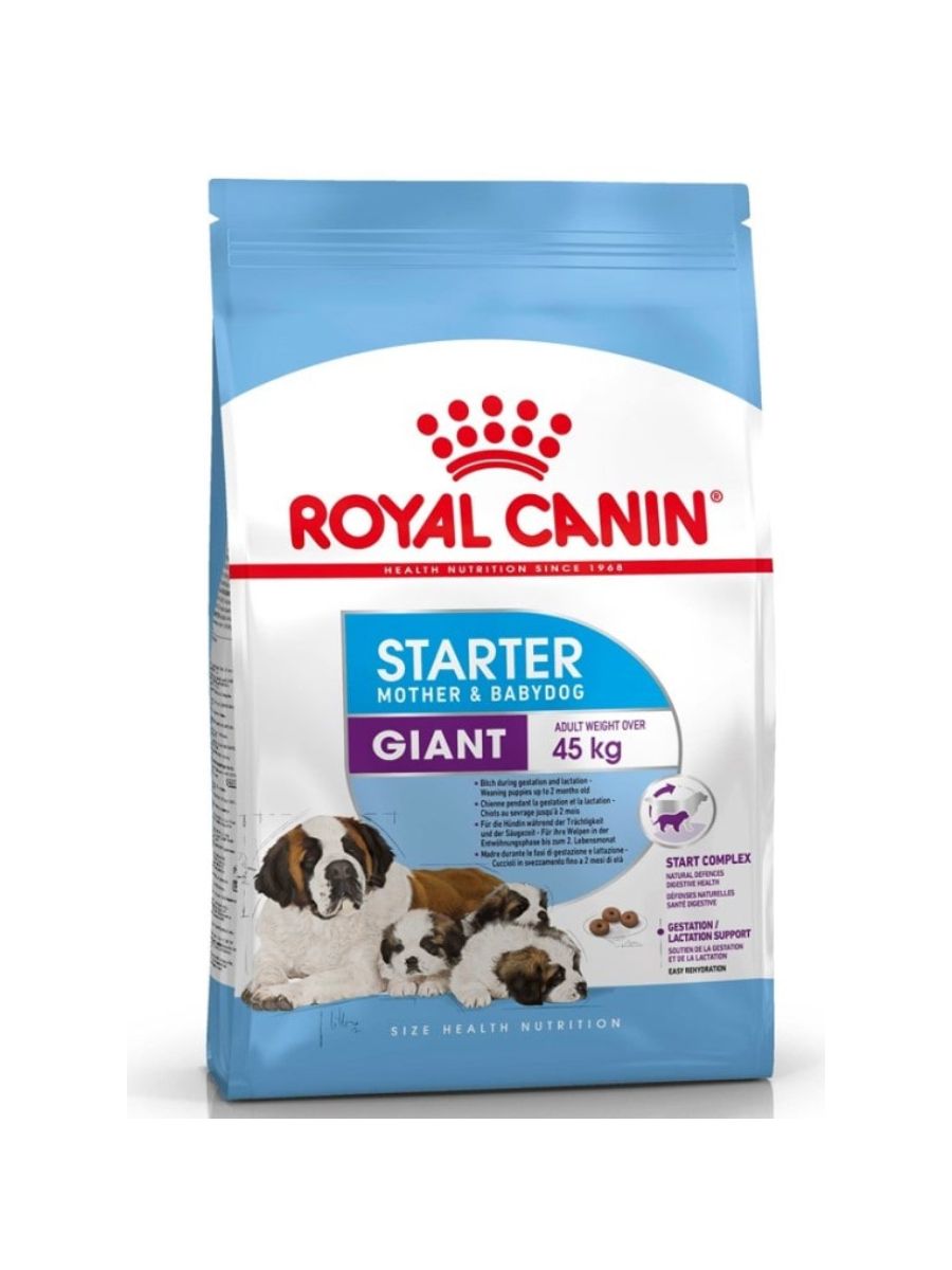 Сухой корм для щенков гигантских пород, беременных и кормящих собак Royal  Canin Giant Starter Mother & Babydog (Джайнт стартер мазэ энд бэбидог) 4 кг  купить в Ростове-На-Дону | 29960400R2/3182550778824, 4627180244725 |  Заповедник