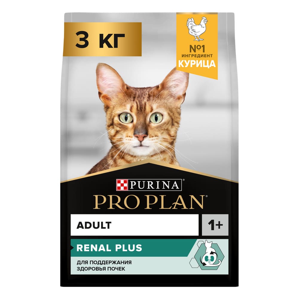 Pro plan renal plus. Pro plan renal plus. Pro plan renal plus. Pro plan renal plus. Pro plan renal plus.