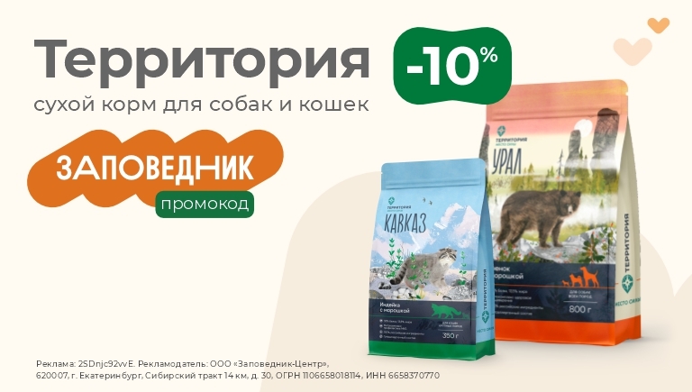 Корм Территория | Скидка 10% по кодовому слову