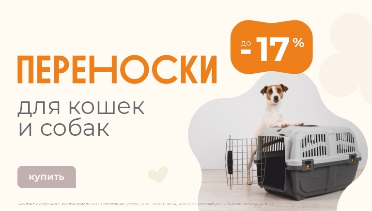Зоомагазин в Омске: товары для домашних животных с доставкой | Интернет ...