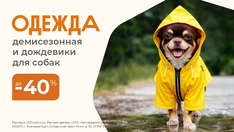 Одежда для собак | Скидки до 40%