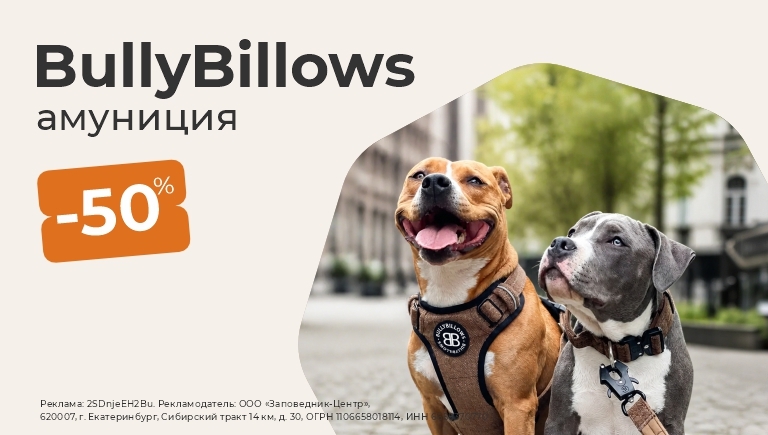 Амуниция для собак Bully Billows | Скидка 50%