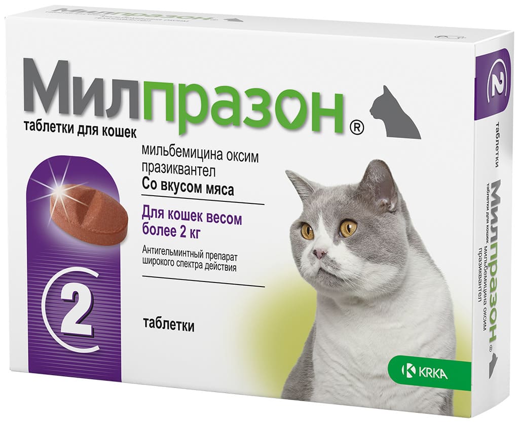 Купить глистогонные препараты для кошек в Санкт-Петербурге: цена  противопаразитарных средств, наличие в зоомагазине Заповедник