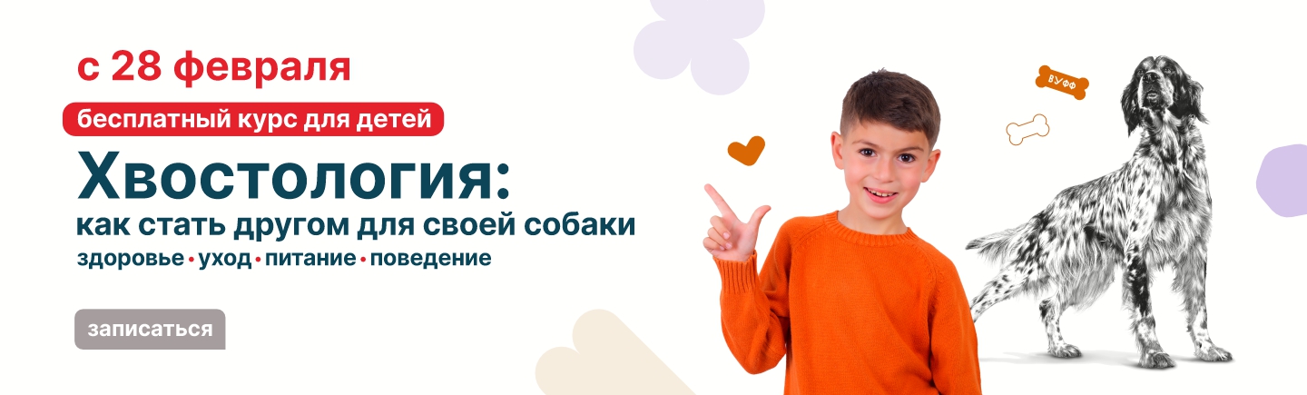 Хвостология: стань другом для своей собаки