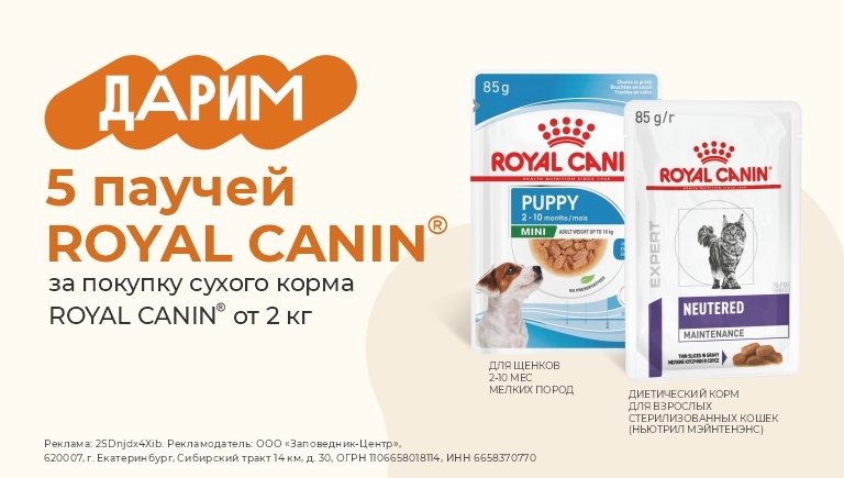 Royal Canin | 5 паучей в подарок при покупке сухого корма
