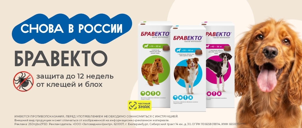 Бравекто снова в России