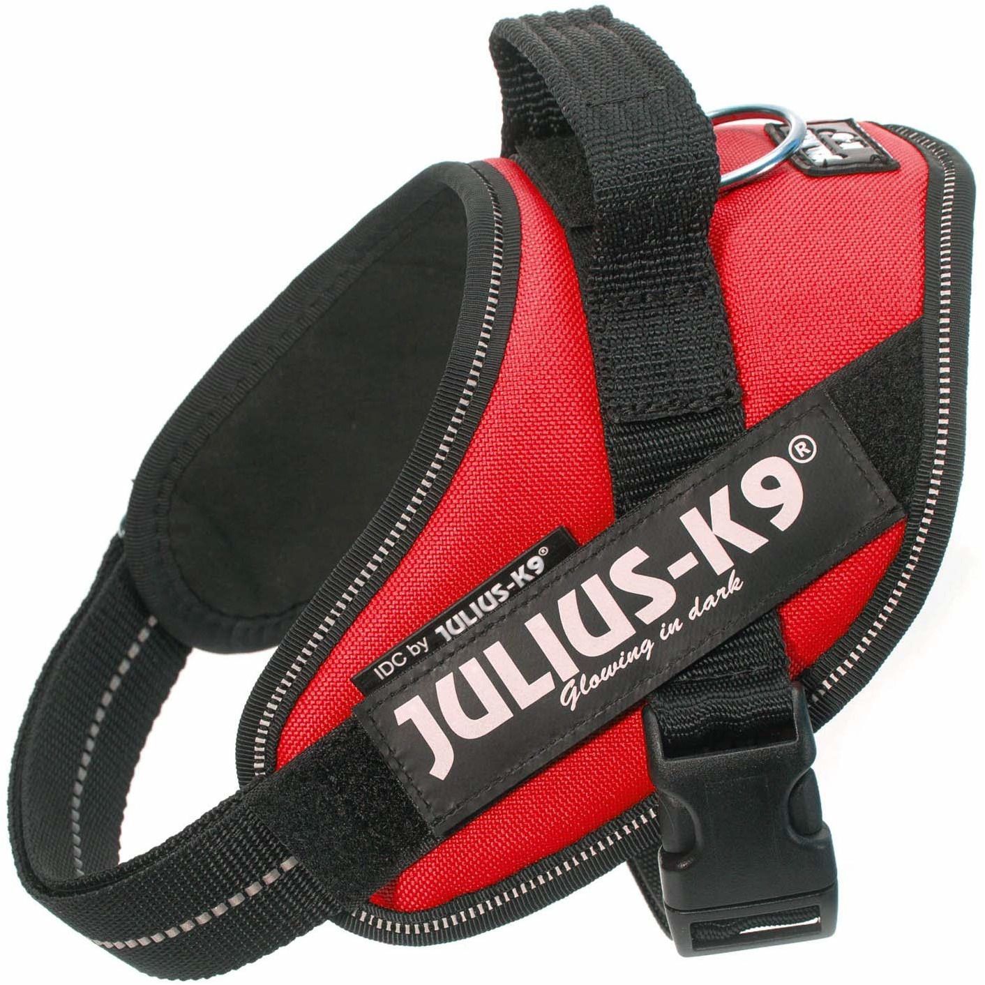 Шлейка для щенка. Шлейка для собак Julius-k9 IDC Powerharness Mini. Julius-k9 шлейка для собак IDC. Шлейка для собак IDC-Powerharness Mini, 49-67см/ 7-15кг, красный. Julius-k9 шлейка для собак IDC®-Powerharness 3.