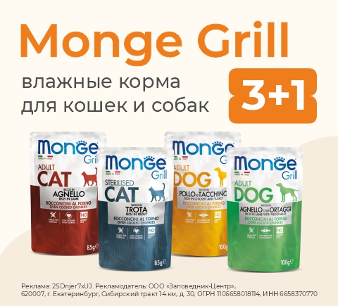 Влажный корм для кошек Monge Grill | 3+1