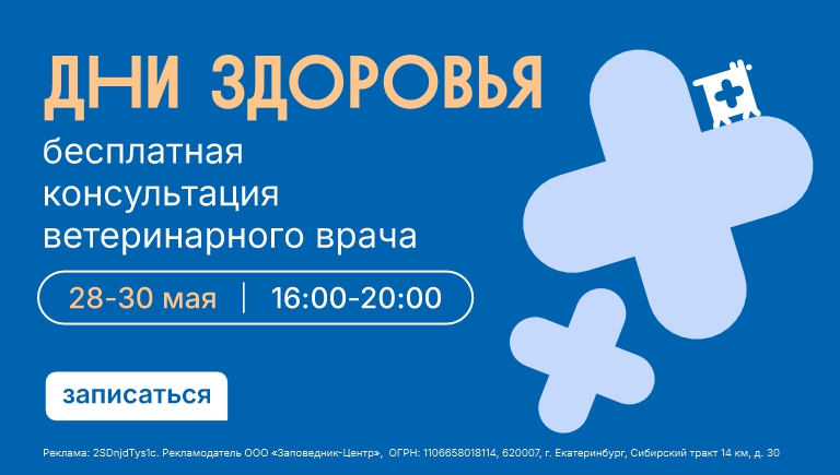 Дни здоровья в Заповеднике