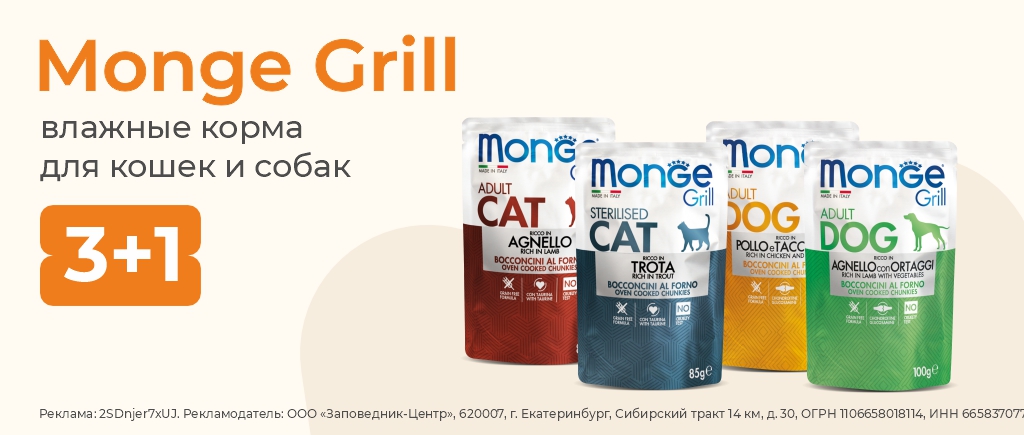 Влажный корм для кошек Monge Grill | 3+1