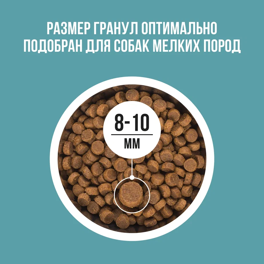 Корм wow для собак мелких. Bowl wow корма для кошек. bowl wow корма баннер. bowl wow корм для собак. bowl wow gс розмарином.