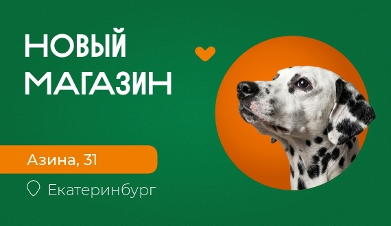 Новый «Заповедник» на Азина