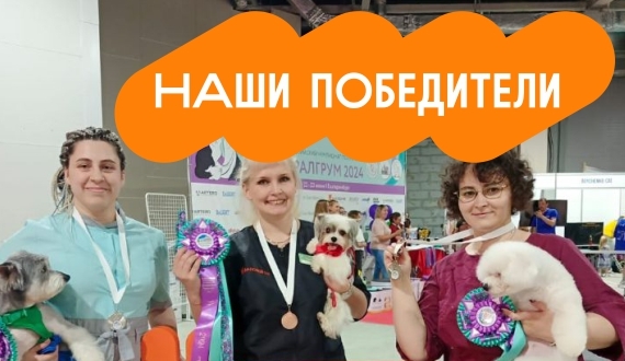 Зоомагазин в Омске: товары для домашних животных с доставкой | Интернет ...