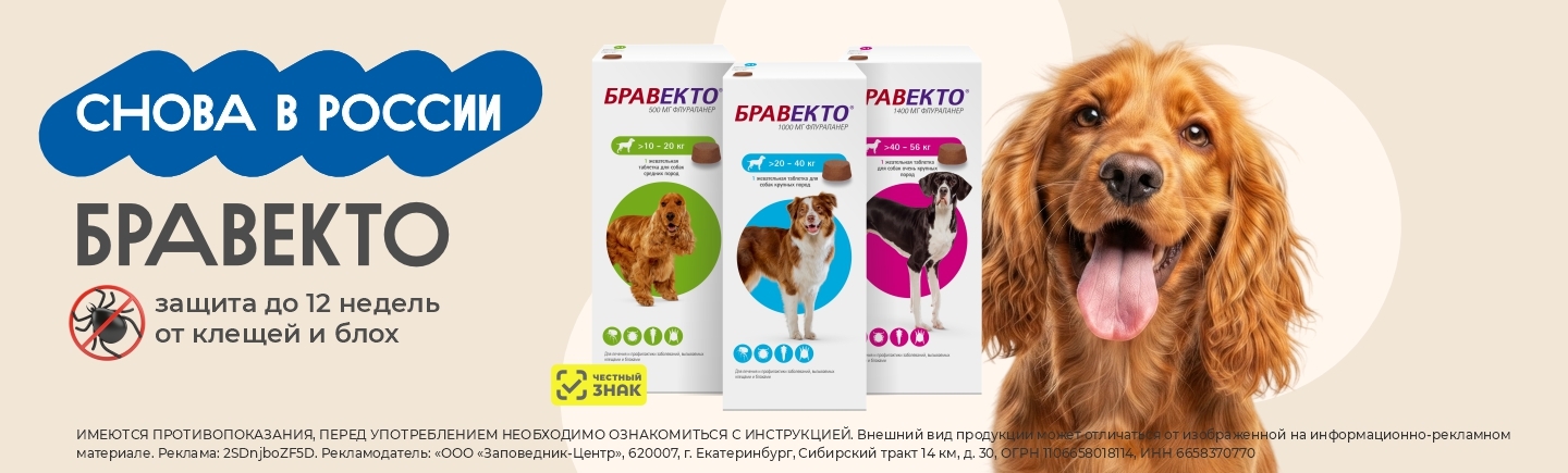 Бравекто снова в России