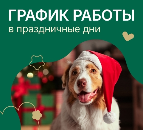 График работы в выходные и праздничные дни