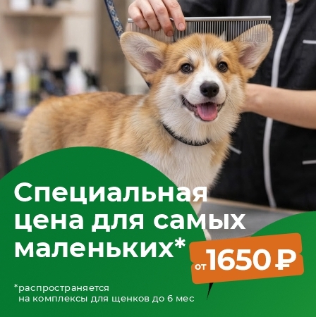 Баннер 3