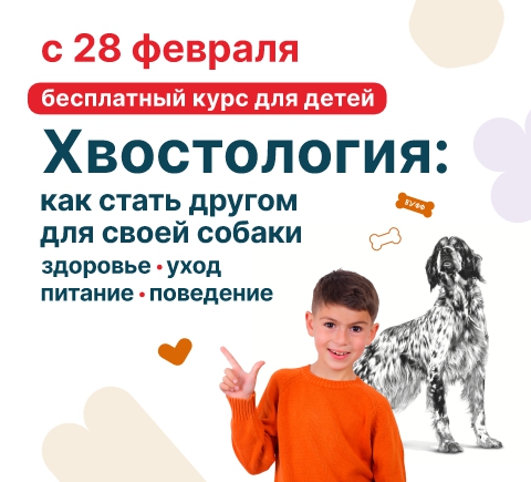 Хвостология: стань другом для своей собаки