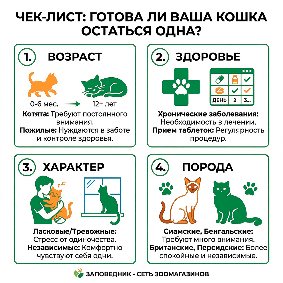 4 главных фактора (возраст, здоровье, характер, порода), определяющие, можно ли оставить кошку одну дома.