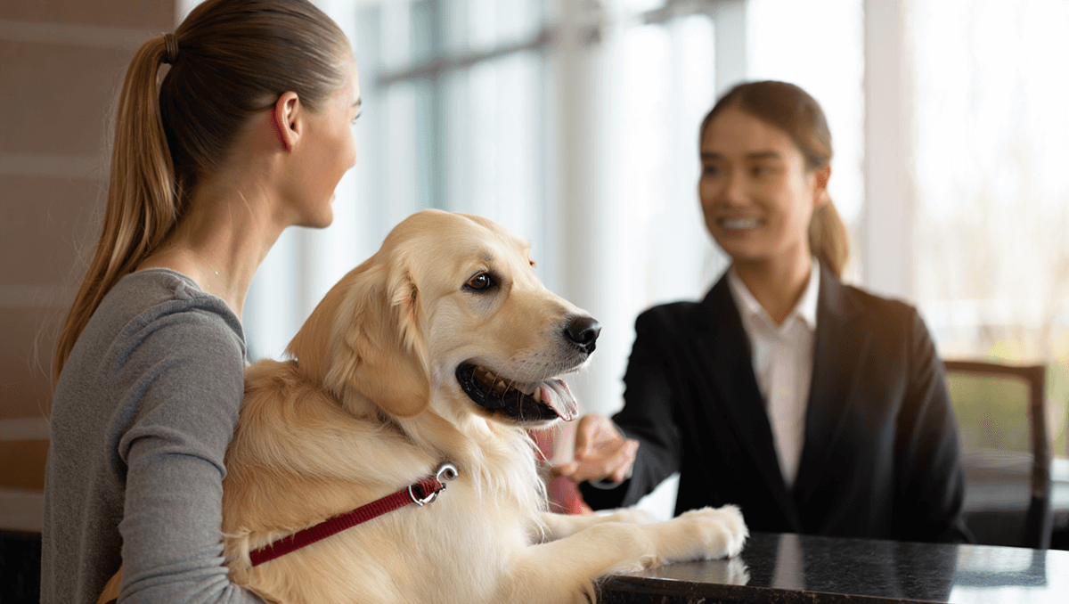 В отеле с питомцем: о чём нужно помнить