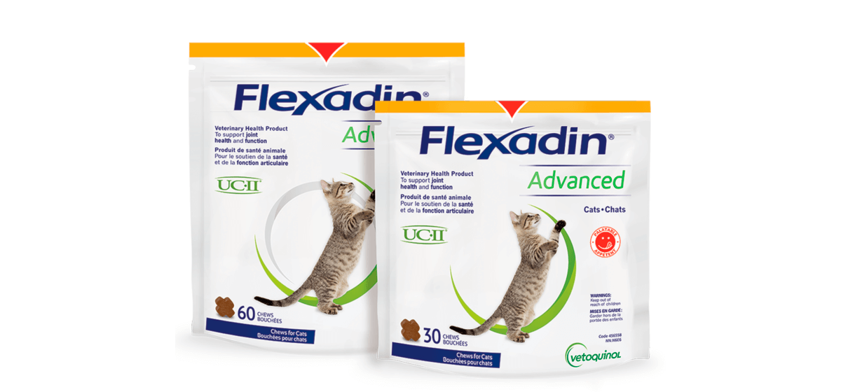 Flexadin Advanced (жевательные таблетки)