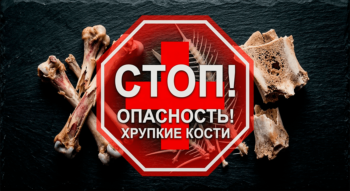 Опасные кости для собак