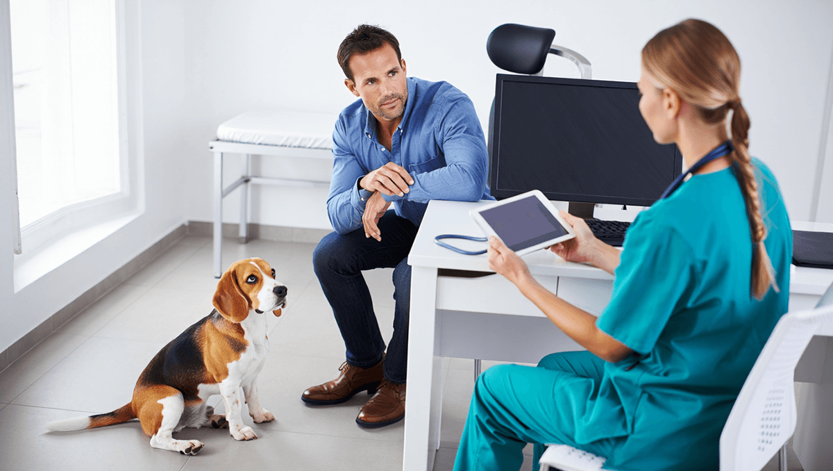Ветеринарный врач консультирует владельца собаки по поводу плана питания