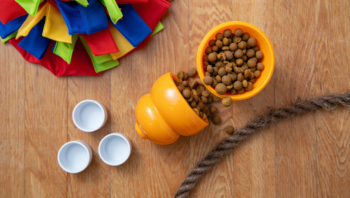 Развивающие игрушки для собак: нюхательный коврик, конг, канат и головоломки