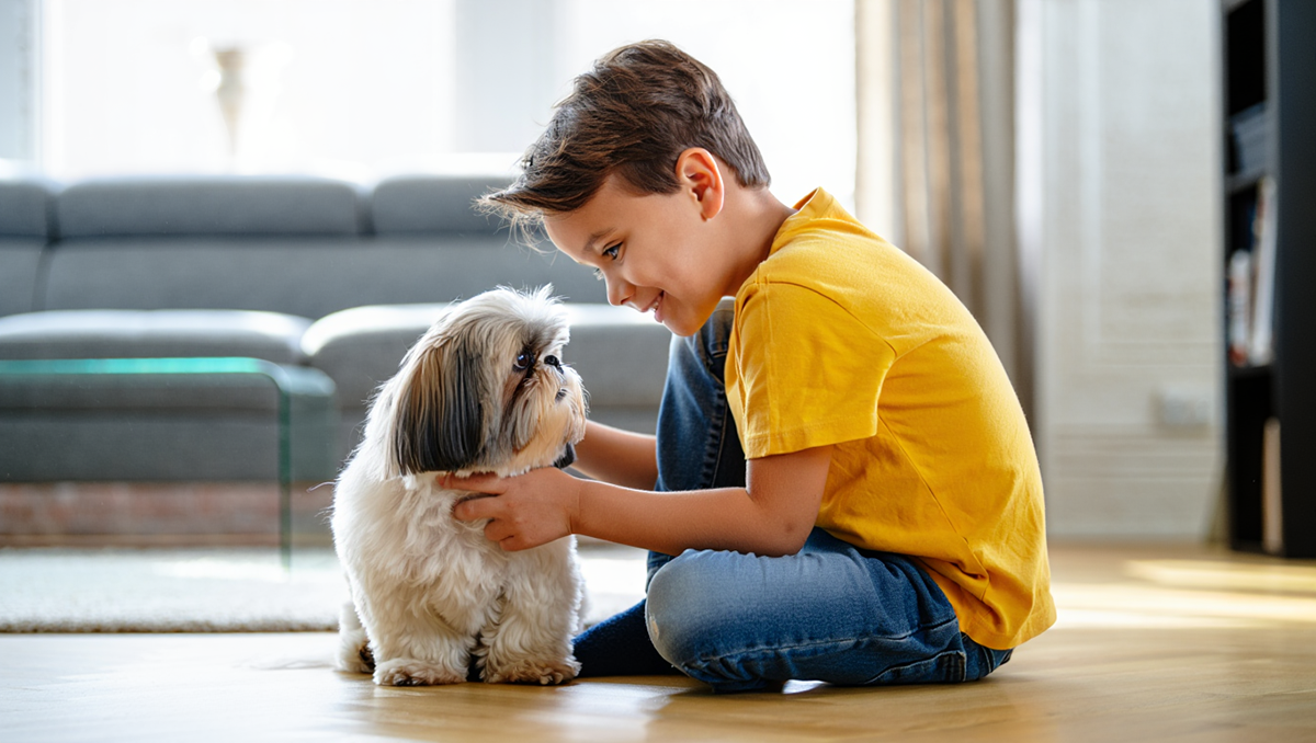 Ши-тцу и дети: идеальная собака-компаньон для семьи в квартире