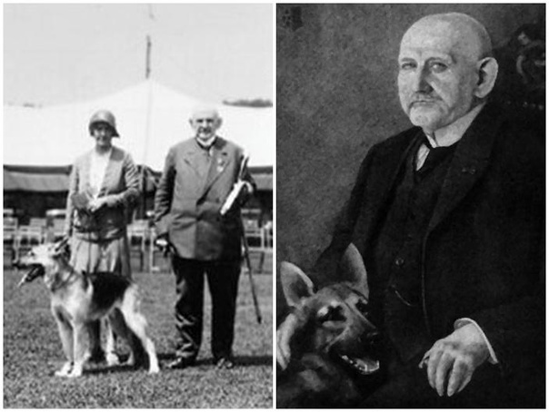 Фон Штефаниц