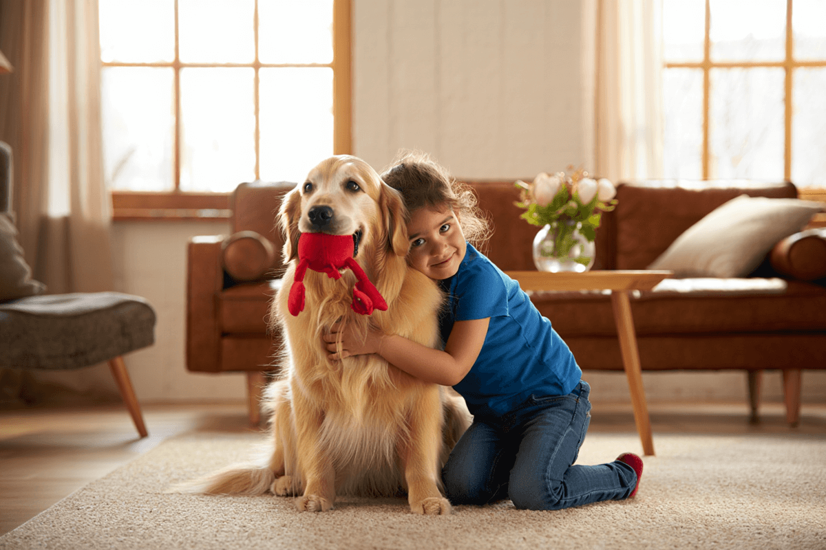 Золотистый ретривер и ребенок обнимаются в гостиной