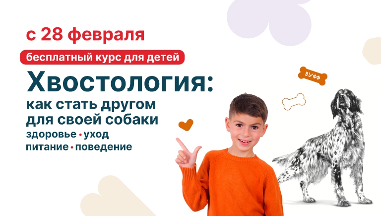 Хвостология: стань другом для своей собаки