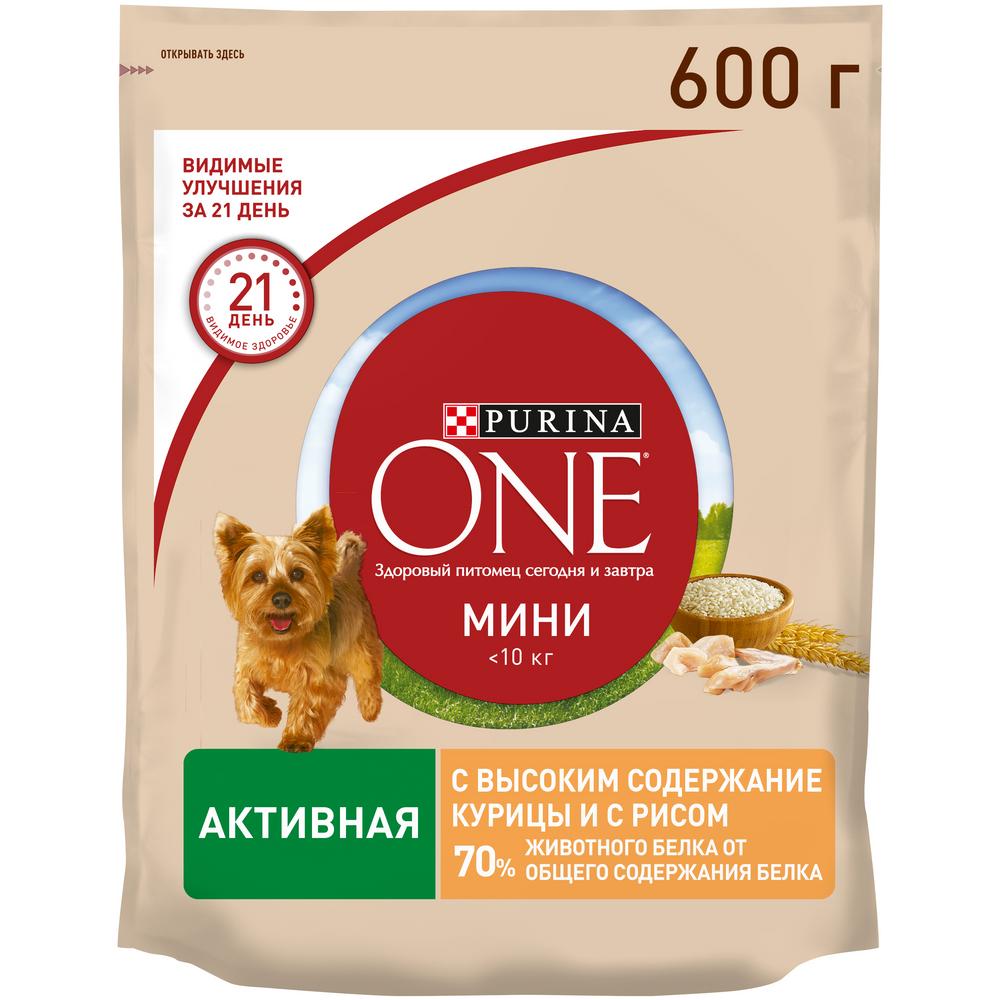 Сухой корм для взрослых собак мелких пород с активным образом жизни Purina  ONE МИНИ Активная с курицей и рисом 600 г купить в Тюмени | /7613034939883  | Заповедник