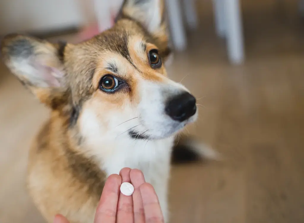 Без названия.jpg