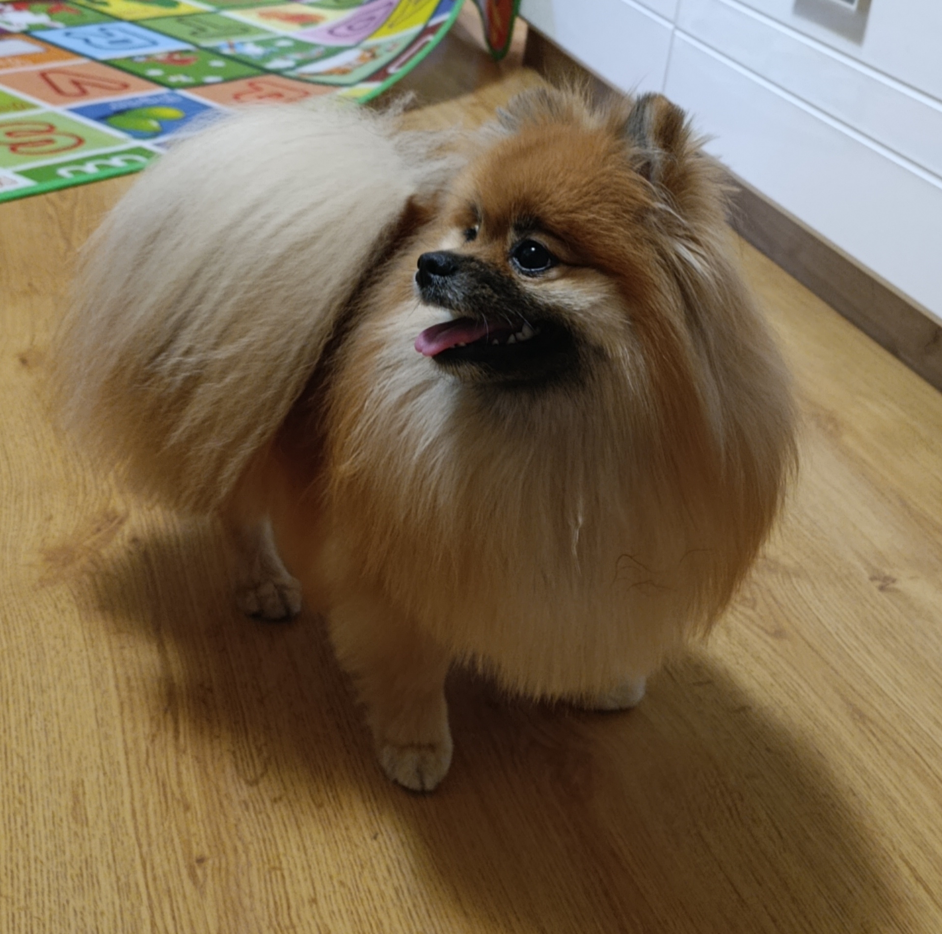 фото услуги undefined