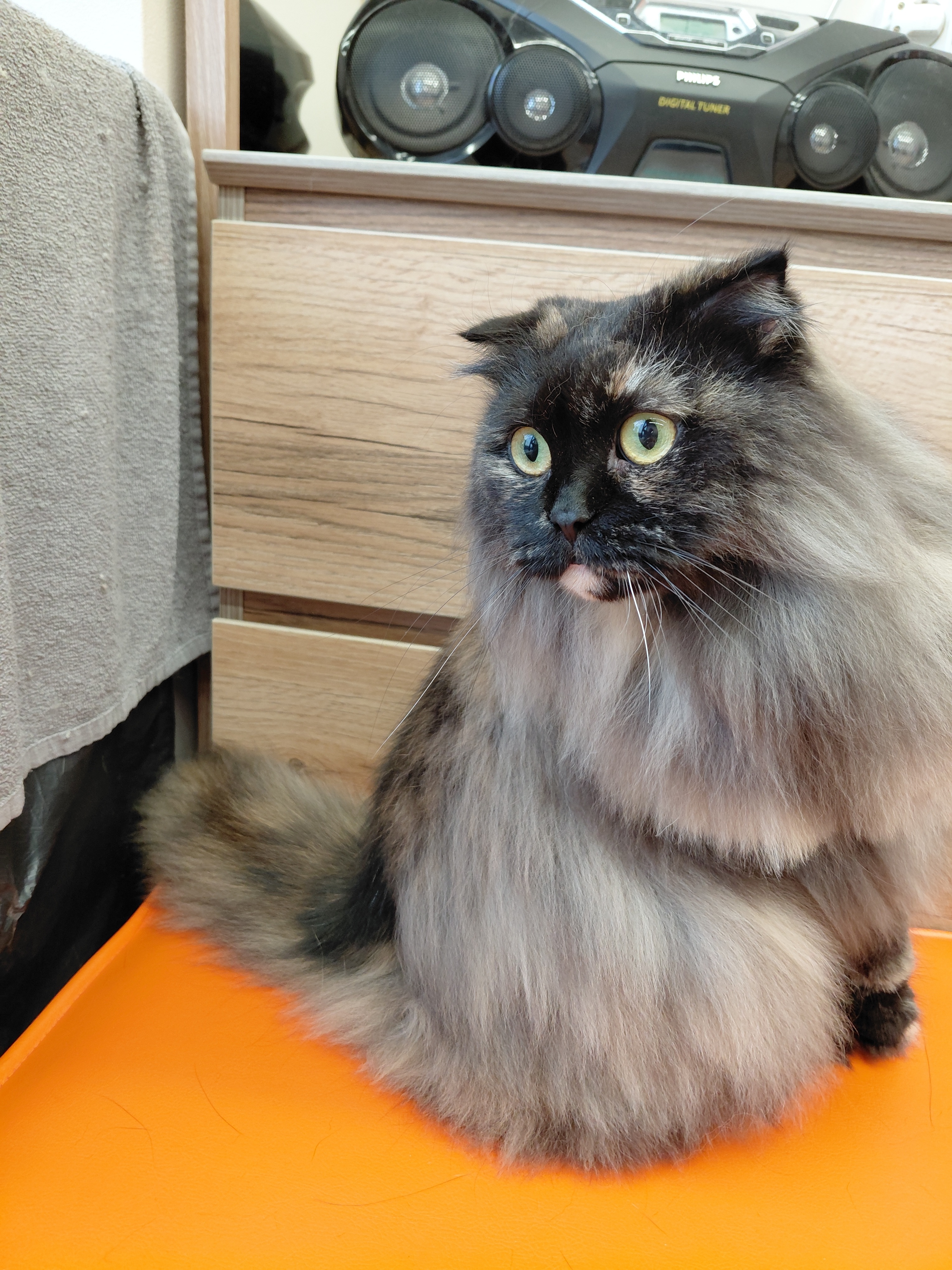 фото услуги undefined